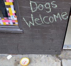 photo by Brian Bonenberger