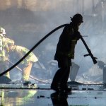 photo by David Lewis